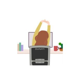 Torso y Espalda