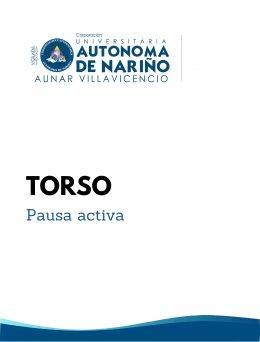 Pausa torso 1
